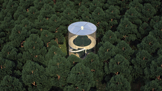 Illustration for article titled 8 Buildings Designed to Incorporate the Trees Around Them